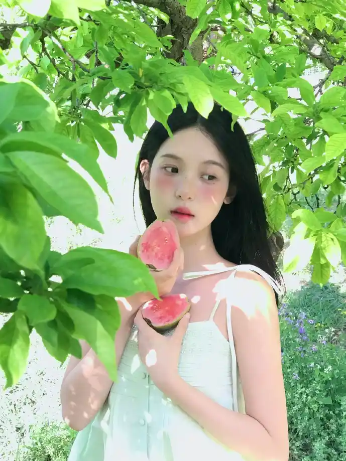 推特视频下载数据对比